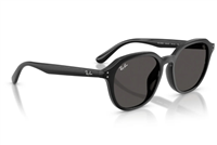 Occhiali da sole Ray-Ban 0RB4459D 54 901/87 - 0RB4459D 54 901/87